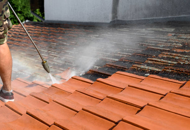 Best Pressure Washing Cost  in Melrose, MN