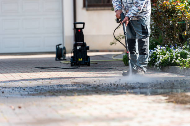 Best Affordable Power Washing  in Melrose, MN