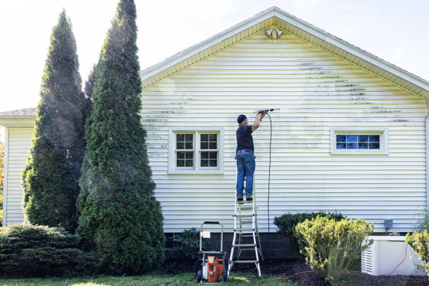 Best Sidewalk Pressure Washing  in Melrose, MN