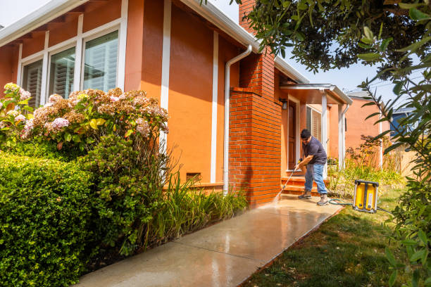 Best House Pressure Washing  in Melrose, MN