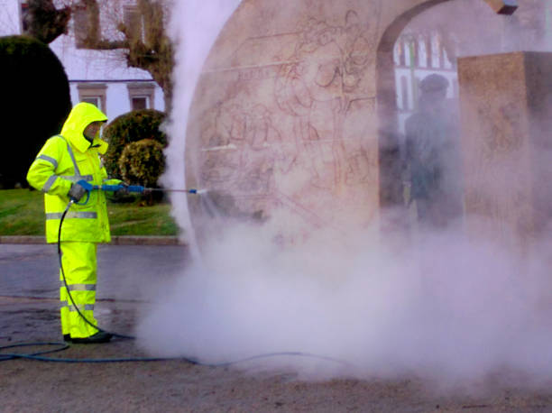 Best Roof Pressure Washing  in Melrose, MN