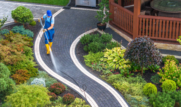 Best Sidewalk Pressure Washing  in Melrose, MN