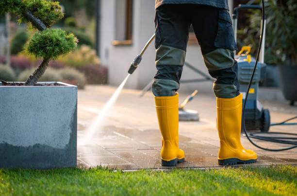 Best Fence Pressure Washing  in Melrose, MN